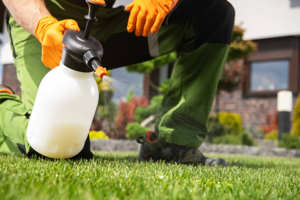 Best Cockroach Control Services  in Redfield, AR