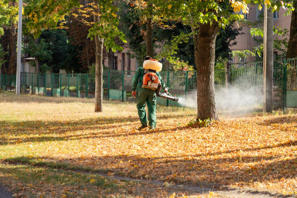 Best Best Pest Control Companies  in Redfield, AR