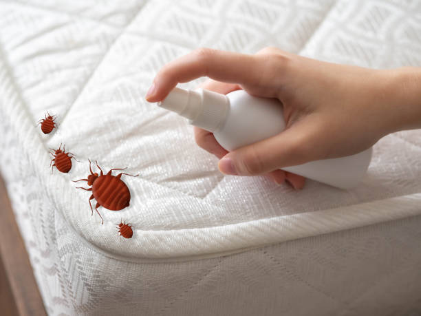 Best Termite Control Services  in Redfield, AR